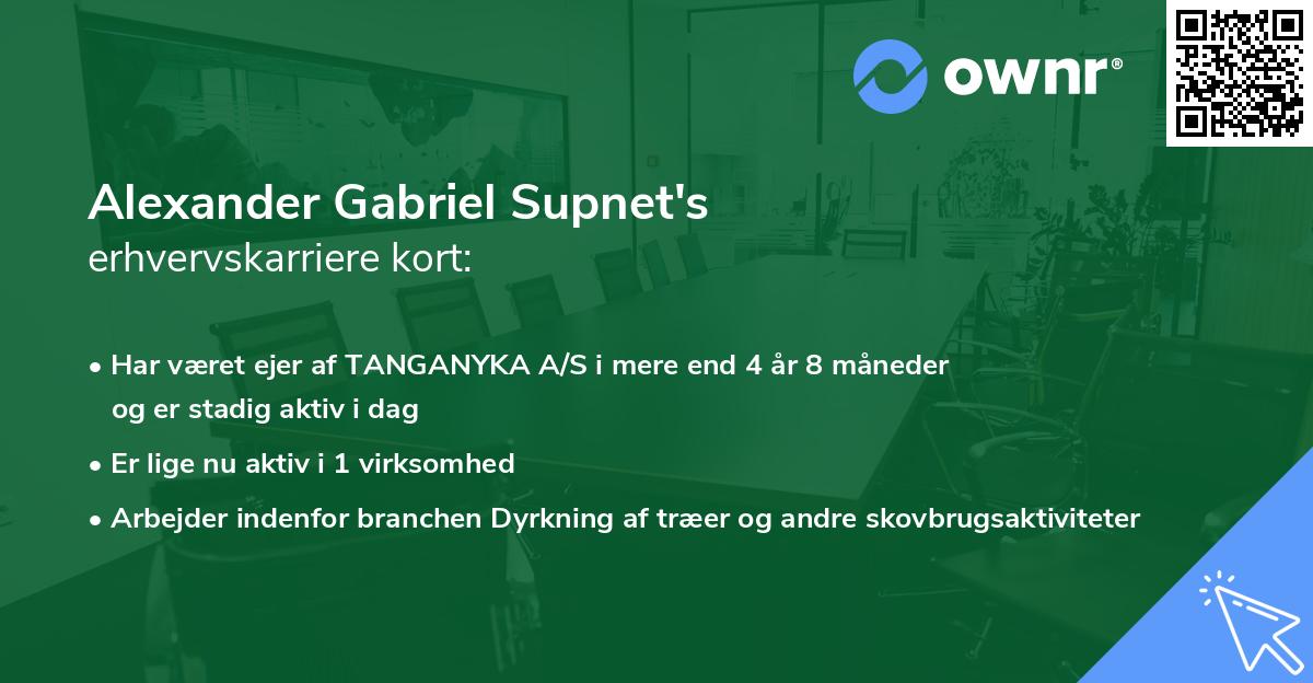 Alexander Gabriel Supnet's erhvervskarriere kort
