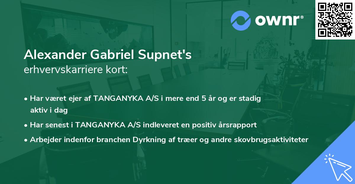 Alexander Gabriel Supnet's erhvervskarriere kort