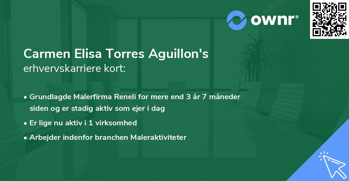 Carmen Elisa Torres Aguillon's erhvervskarriere kort