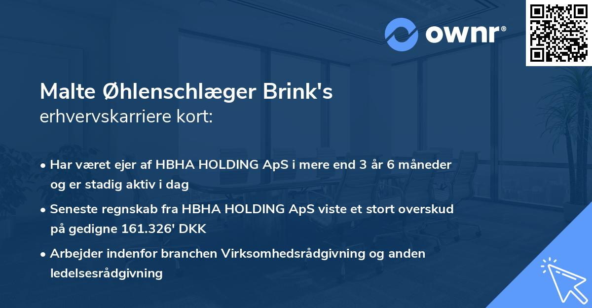 Malte Øhlenschlæger Brink's erhvervskarriere kort