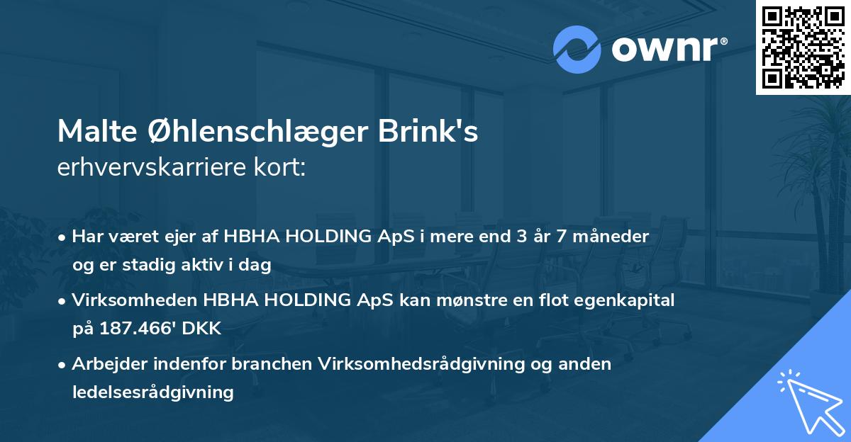Malte Øhlenschlæger Brink's erhvervskarriere kort