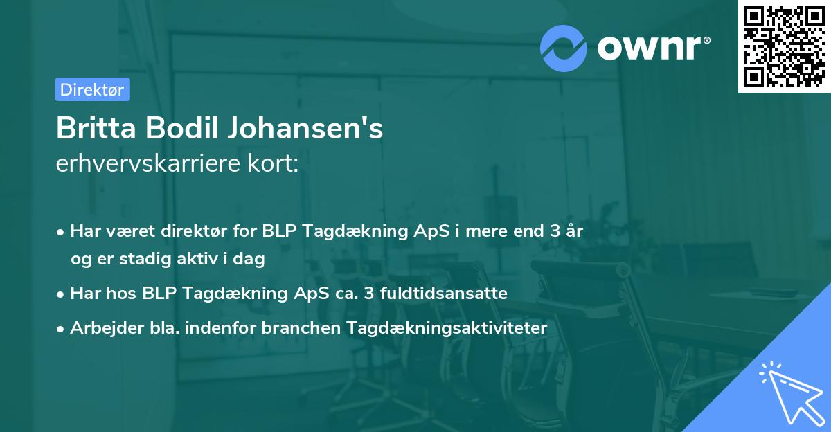Britta Bodil Johansen's erhvervskarriere kort
