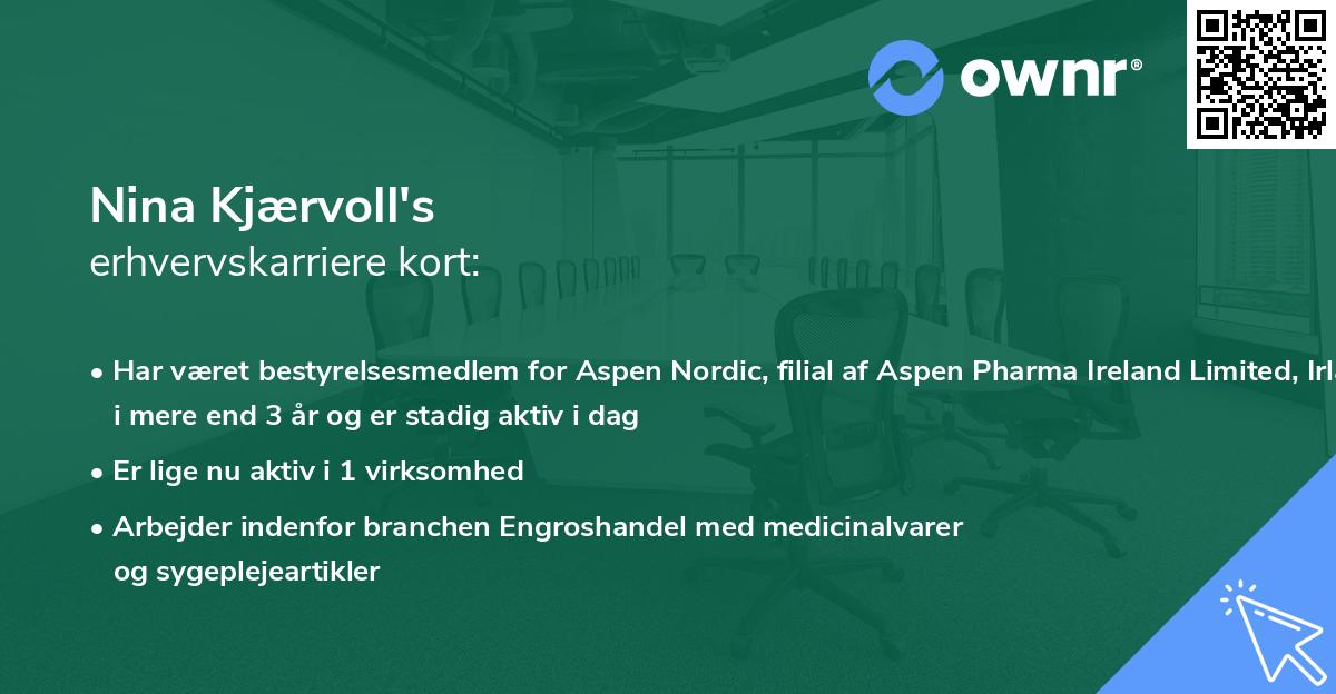 Nina Kjærvoll's erhvervskarriere kort