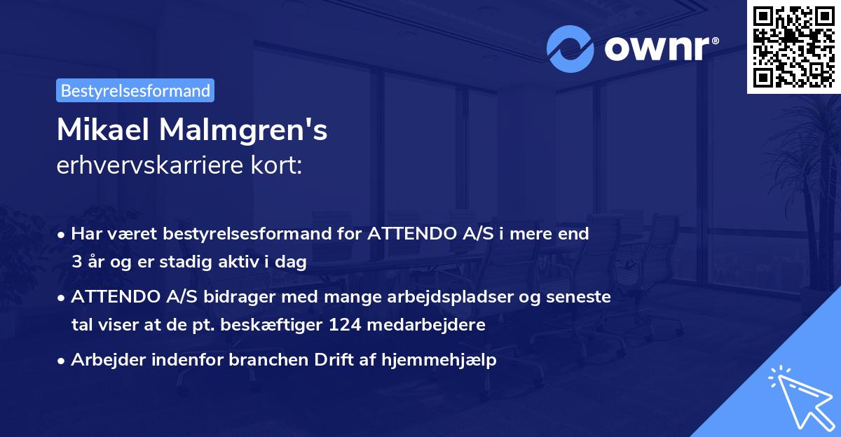 Mikael Malmgren's erhvervskarriere kort