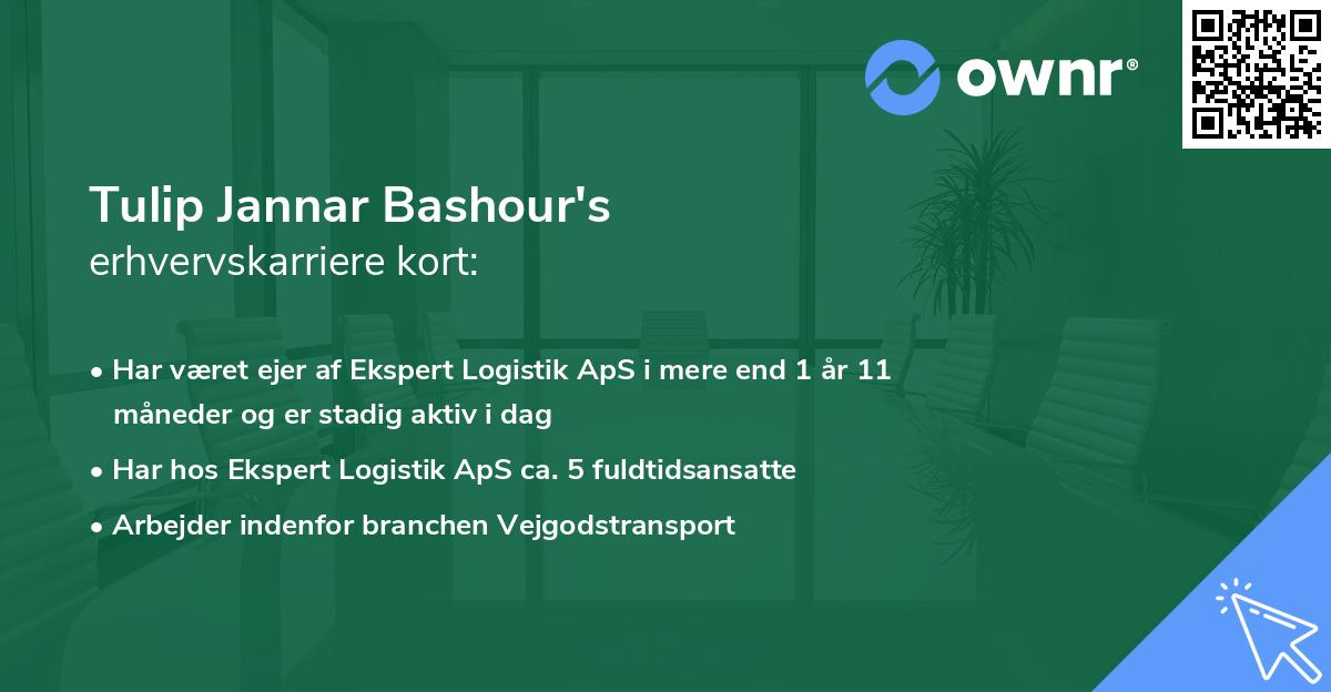 Tulip Jannar Bashour's erhvervskarriere kort