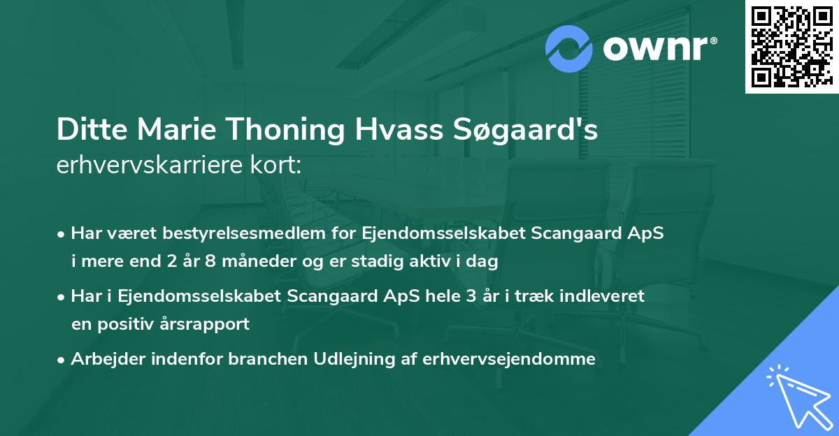 Ditte Marie Thoning Hvass Søgaard's erhvervskarriere kort