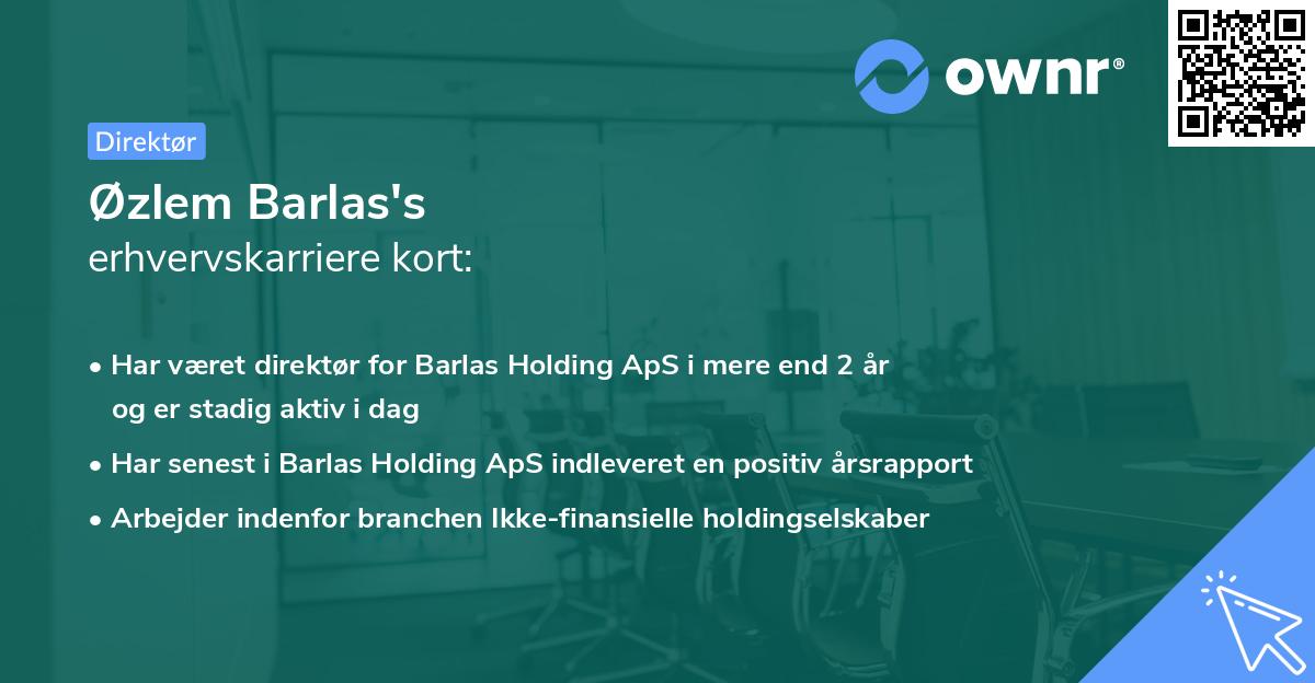 Øzlem Barlas's erhvervskarriere kort