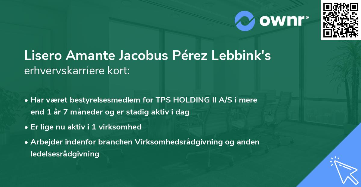 Lisero Amante Jacobus Pérez Lebbink's erhvervskarriere kort