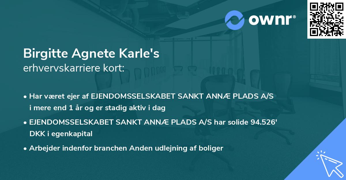 Birgitte Agnete Karle's erhvervskarriere kort
