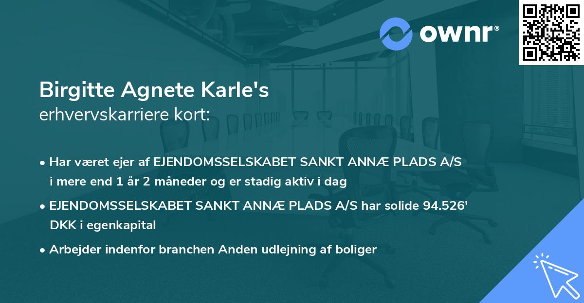 Birgitte Agnete Karle's erhvervskarriere kort