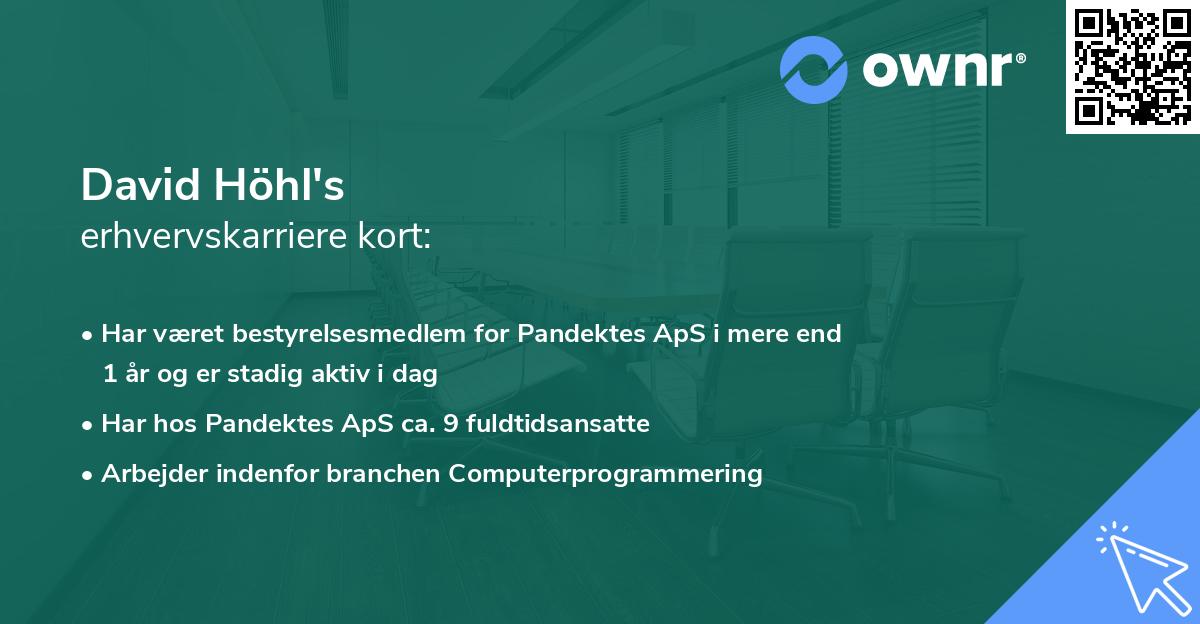 David Höhl's erhvervskarriere kort