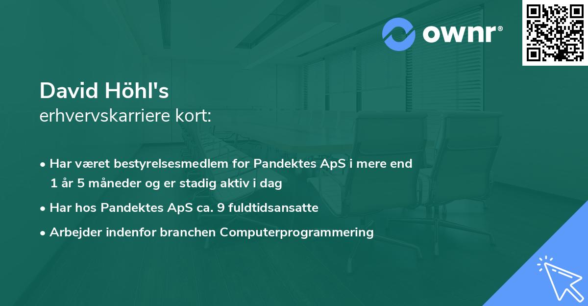 David Höhl's erhvervskarriere kort