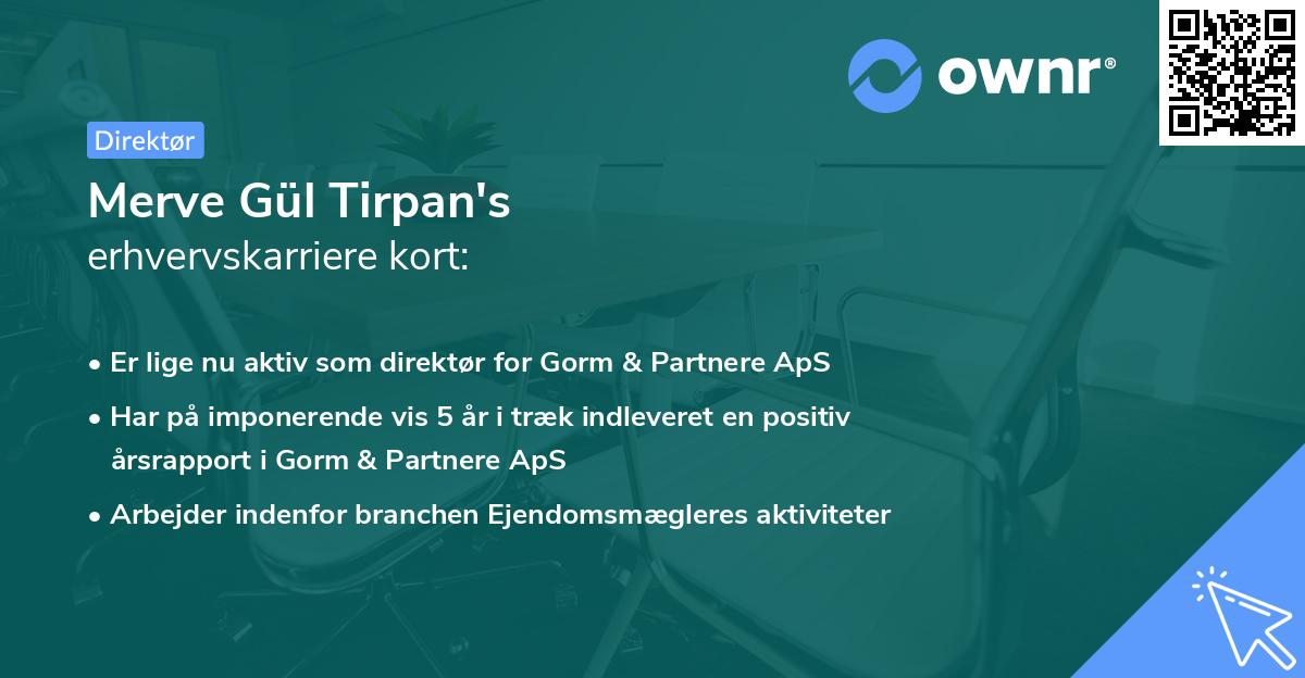 Merve Gül Tirpan's erhvervskarriere kort
