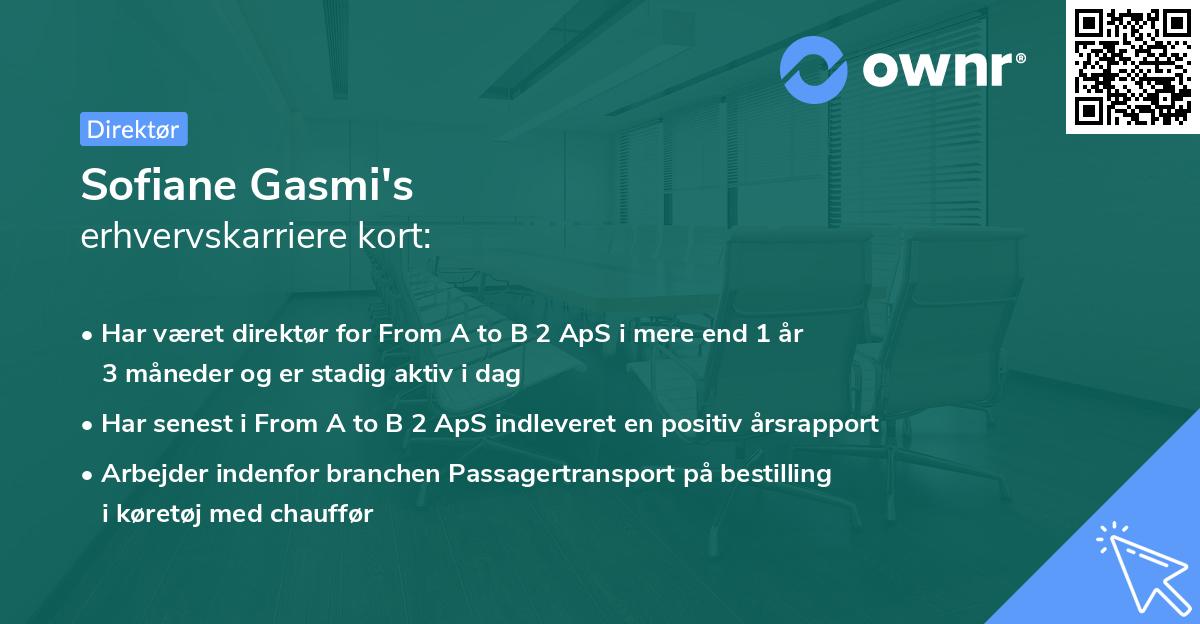 Sofiane Gasmi's erhvervskarriere kort