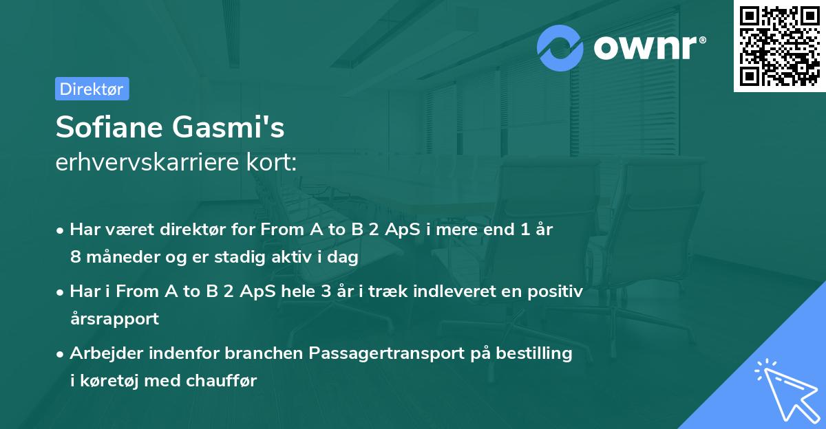Sofiane Gasmi's erhvervskarriere kort