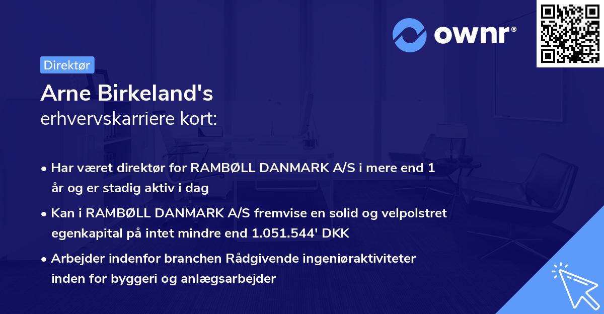 Arne Birkeland's erhvervskarriere kort