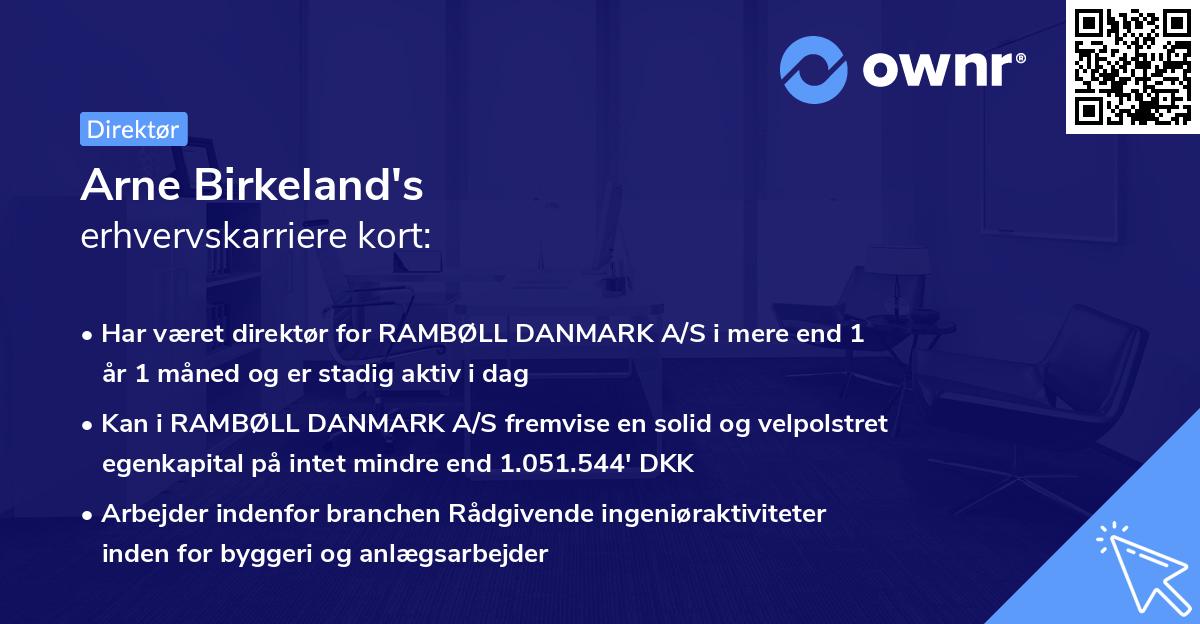 Arne Birkeland's erhvervskarriere kort