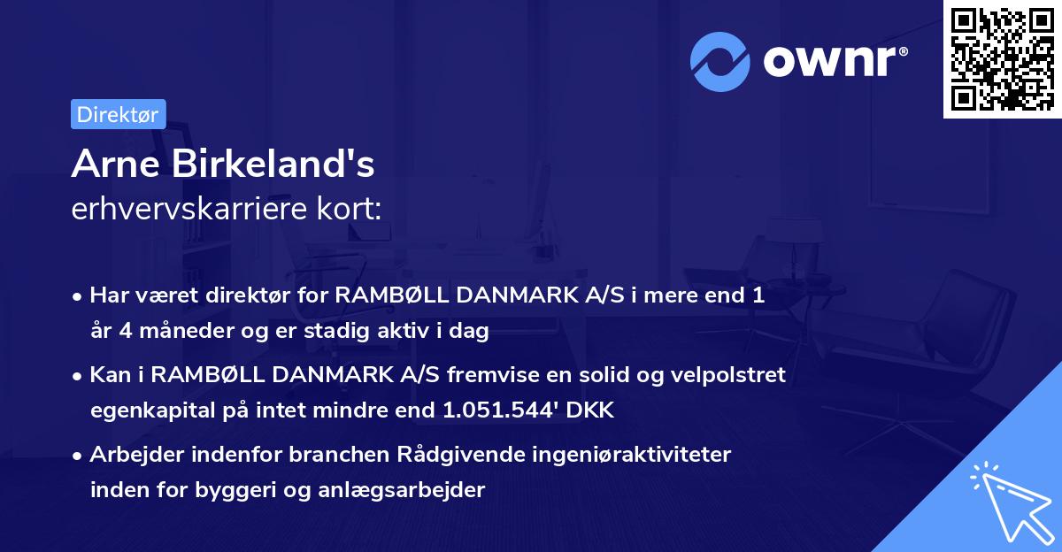 Arne Birkeland's erhvervskarriere kort