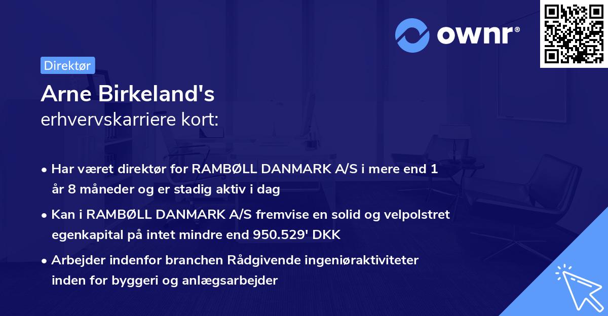 Arne Birkeland's erhvervskarriere kort