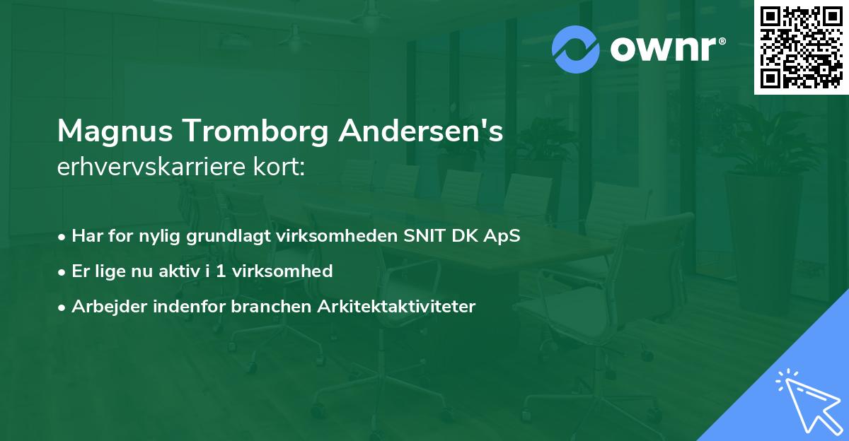 Magnus Tromborg Andersen's erhvervskarriere kort