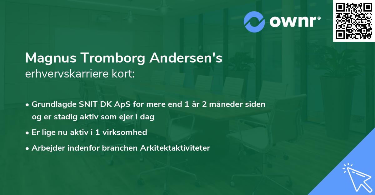 Magnus Tromborg Andersen's erhvervskarriere kort