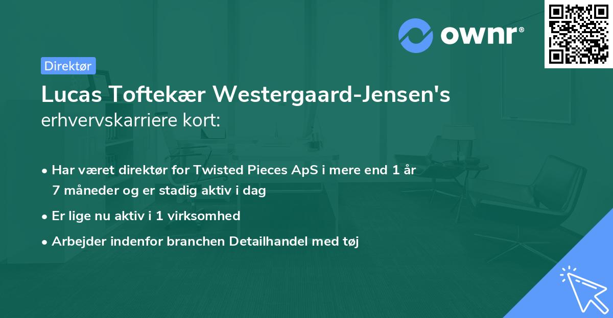 Lucas Toftekær Westergaard-Jensen's erhvervskarriere kort