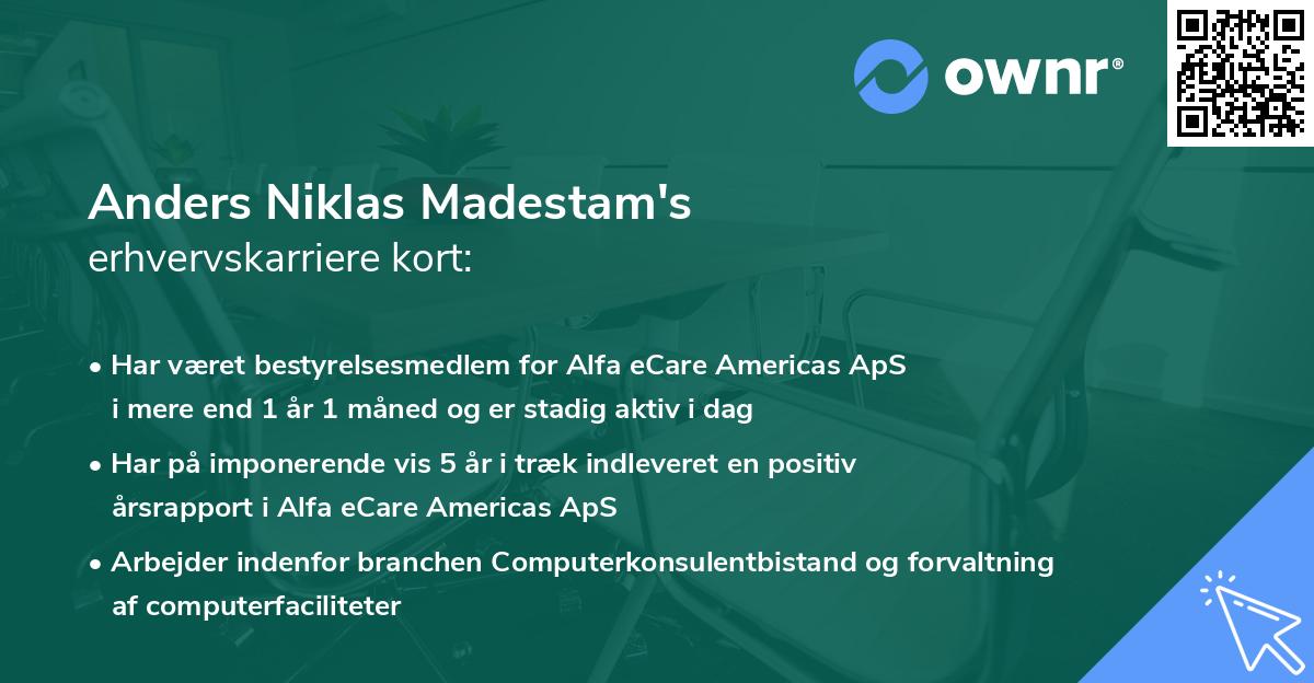 Anders Niklas Madestam's erhvervskarriere kort