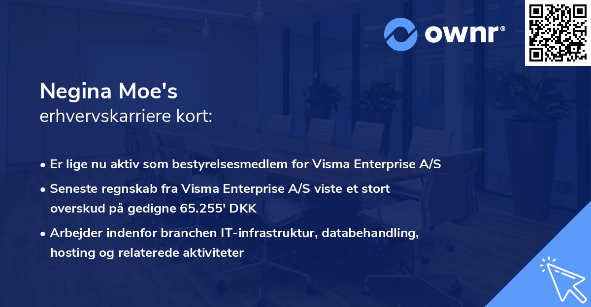 Negina Moe's erhvervskarriere kort