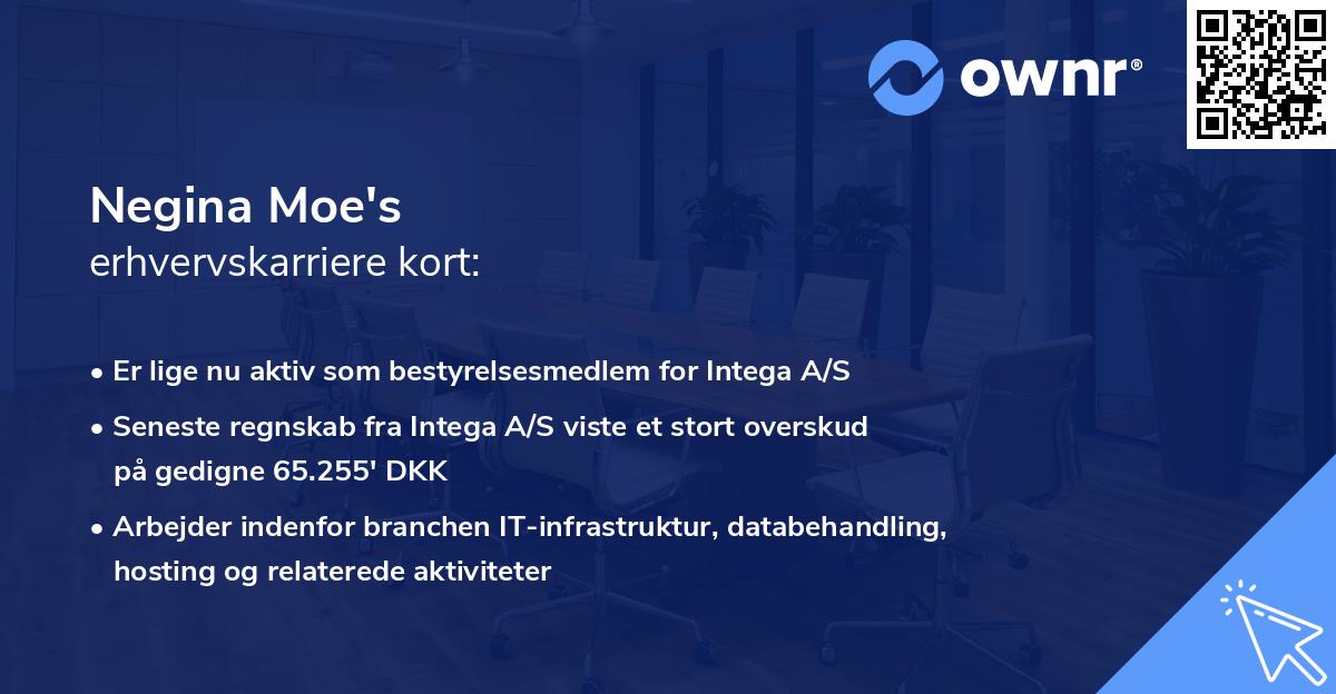 Negina Moe's erhvervskarriere kort