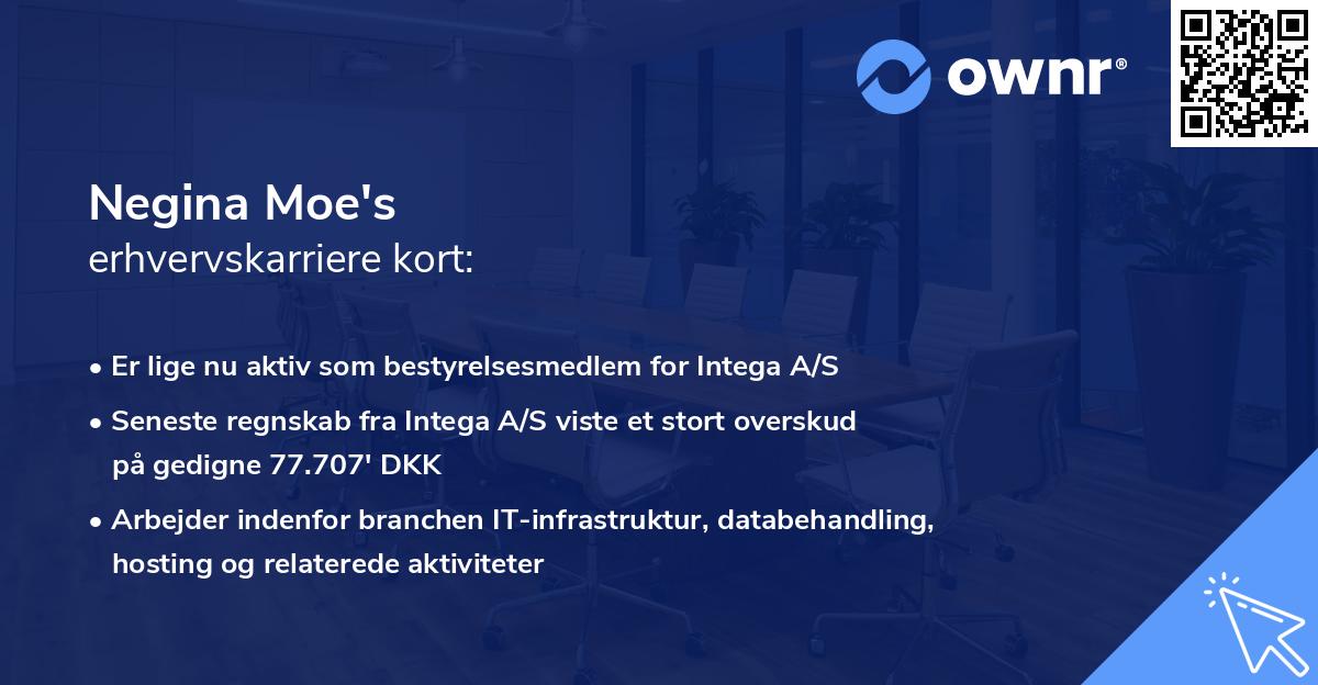 Negina Moe's erhvervskarriere kort