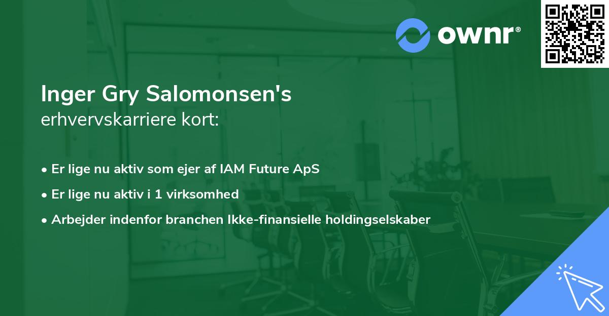 Inger Gry Salomonsen's erhvervskarriere kort