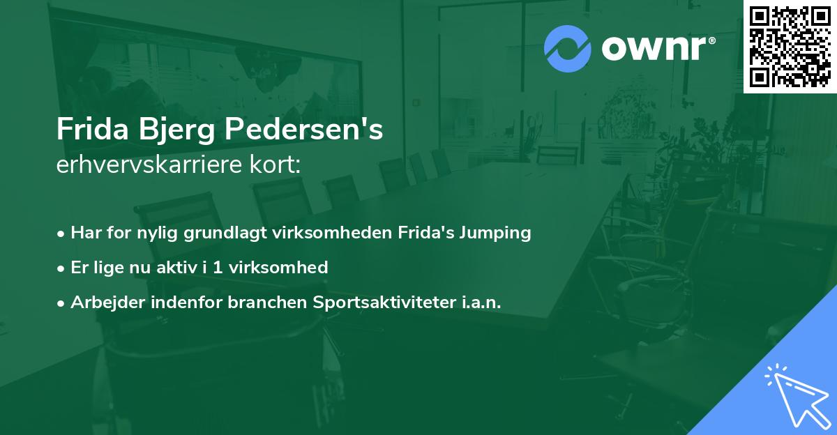 Frida Bjerg Pedersen's erhvervskarriere kort