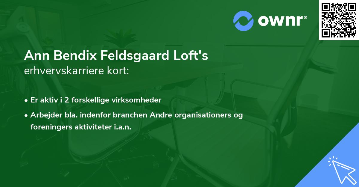 Ann Bendix Feldsgaard Loft's erhvervskarriere kort