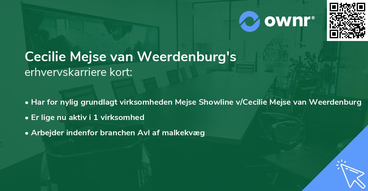 Cecilie Mejse van Weerdenburg's erhvervskarriere kort