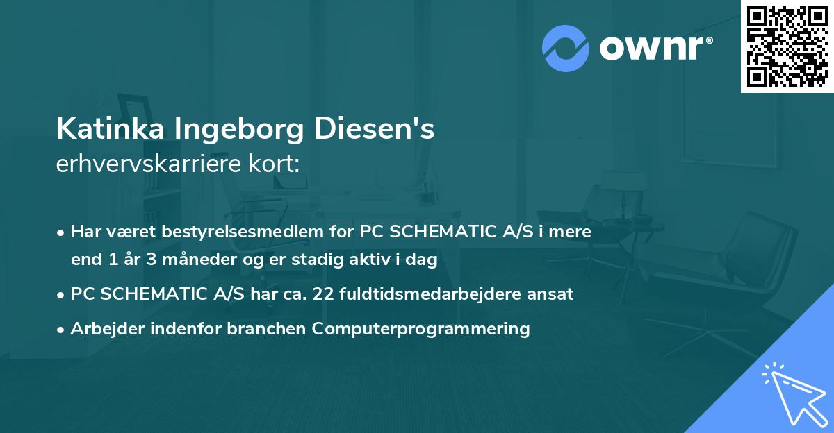 Katinka Ingeborg Diesen's erhvervskarriere kort