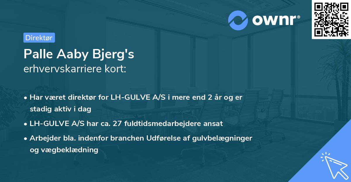 Palle Aaby Bjerg's erhvervskarriere kort