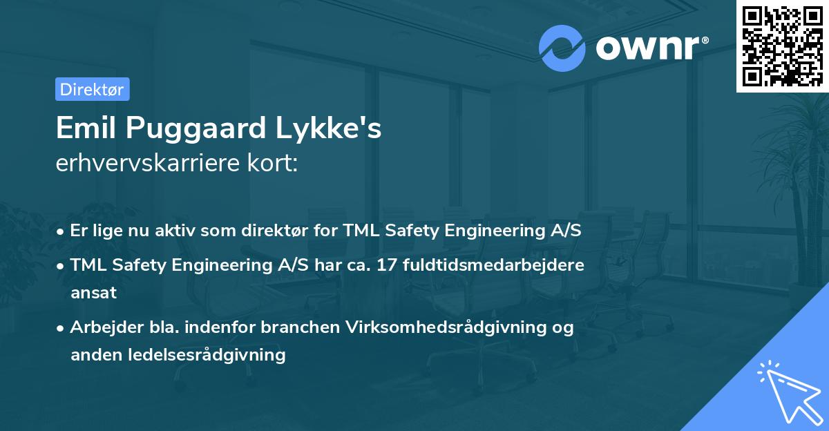 Emil Puggaard Lykke's erhvervskarriere kort