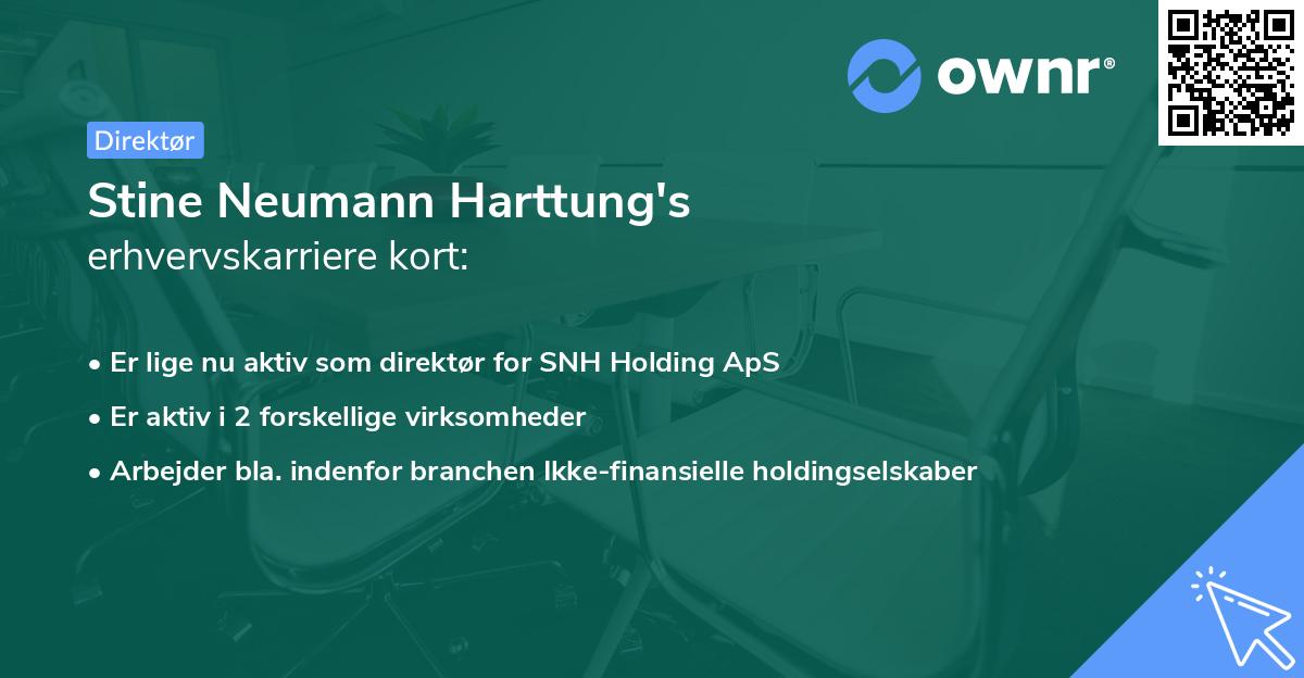 Stine Neumann Harttung's erhvervskarriere kort