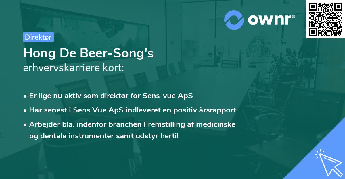 Hong De Beer-Song's erhvervskarriere kort