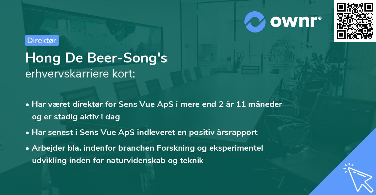 Hong De Beer-Song's erhvervskarriere kort