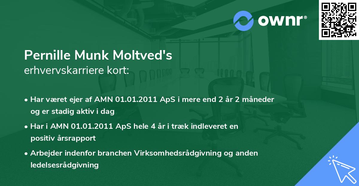 Pernille Munk Moltved's erhvervskarriere kort