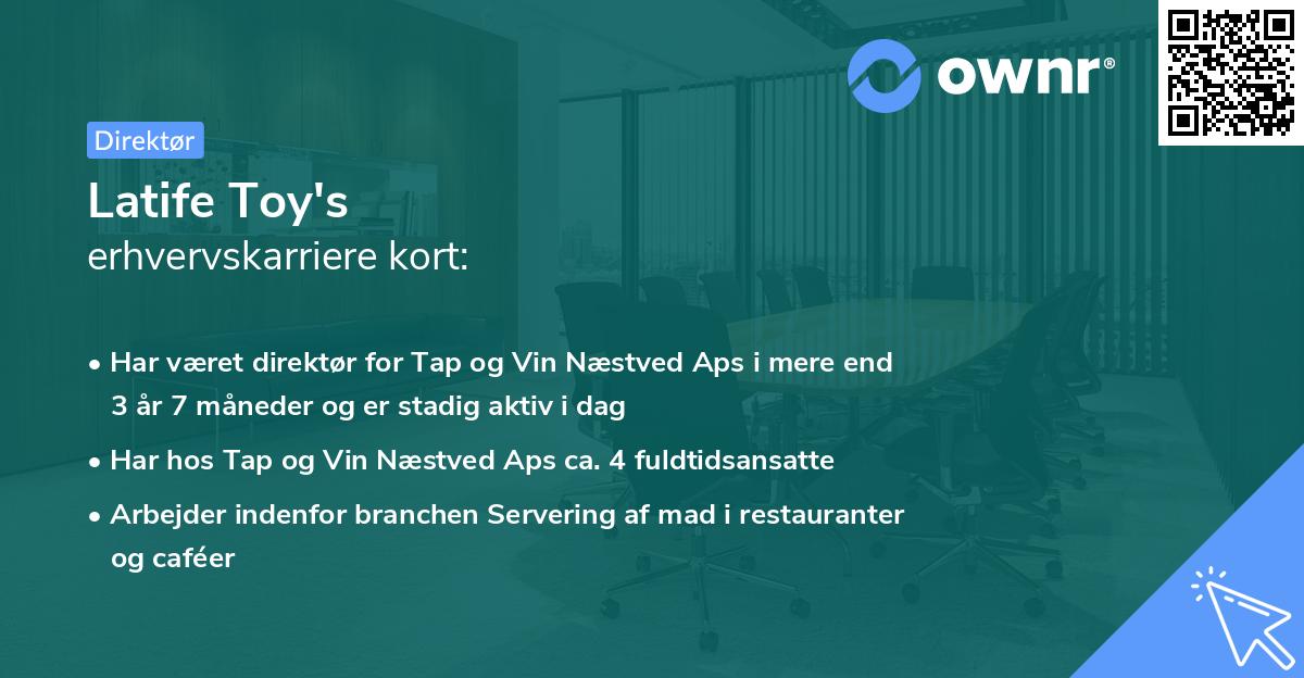 Latife Toy's erhvervskarriere kort
