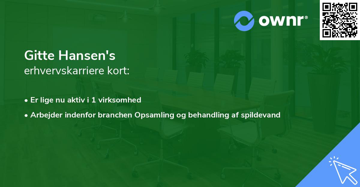 Gitte Hansen's erhvervskarriere kort