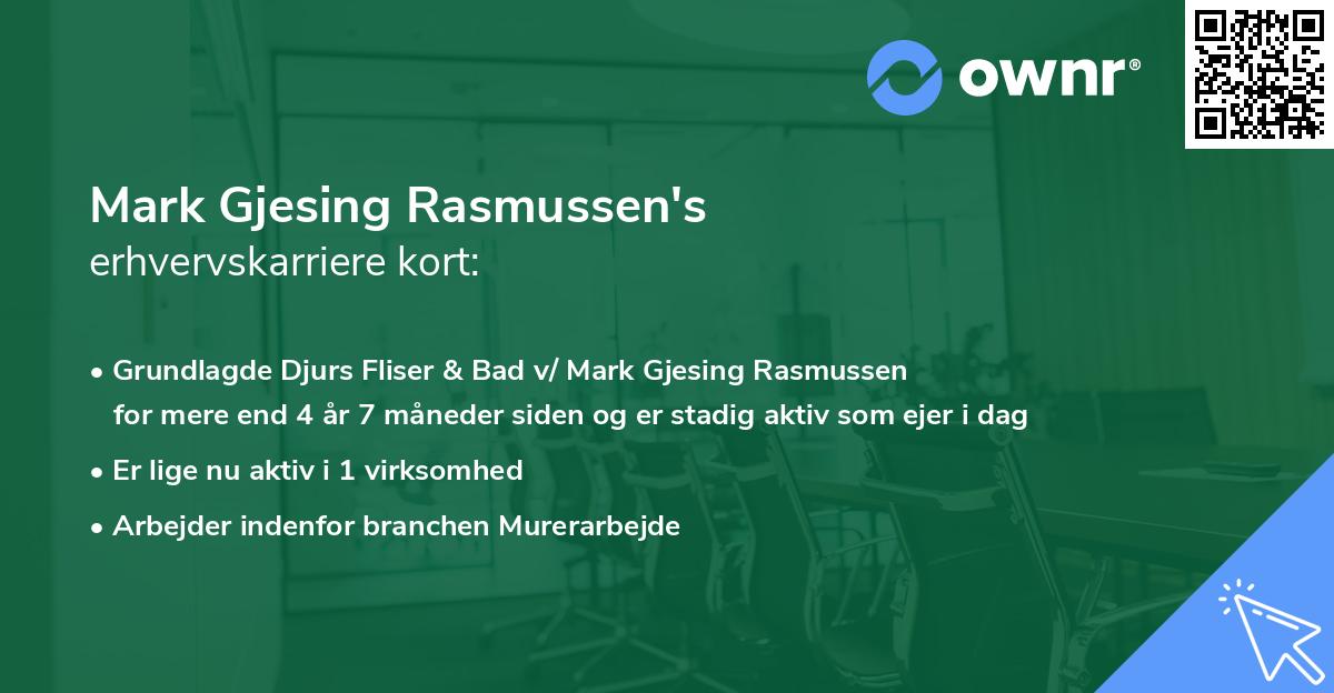Mark Gjesing Rasmussen's erhvervskarriere kort