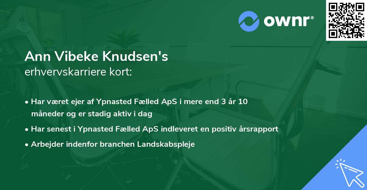 Ann Vibeke Knudsen's erhvervskarriere kort