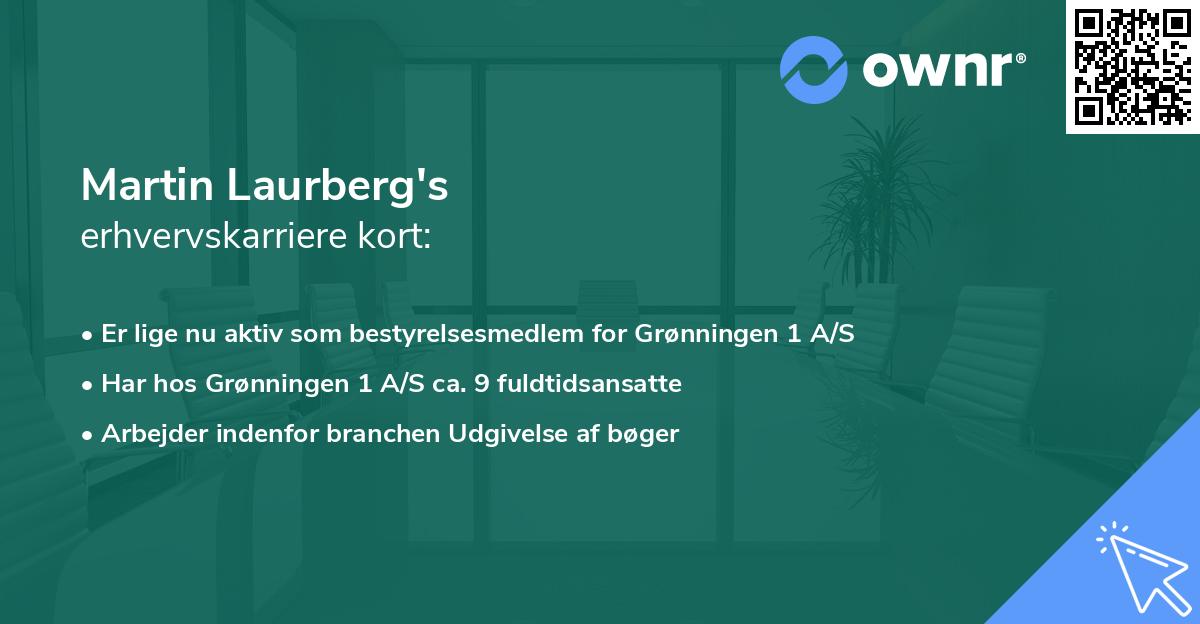 Martin Laurberg's erhvervskarriere kort