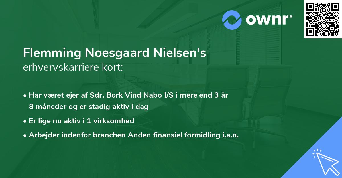 Flemming Noesgaard Nielsen's erhvervskarriere kort
