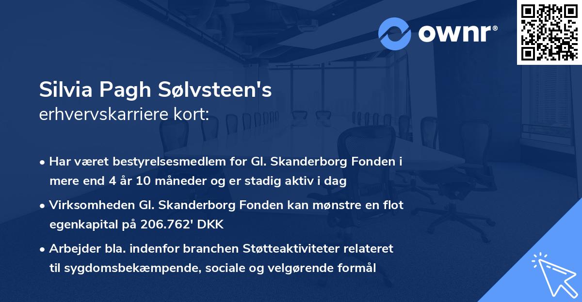 Silvia Pagh Sølvsteen's erhvervskarriere kort