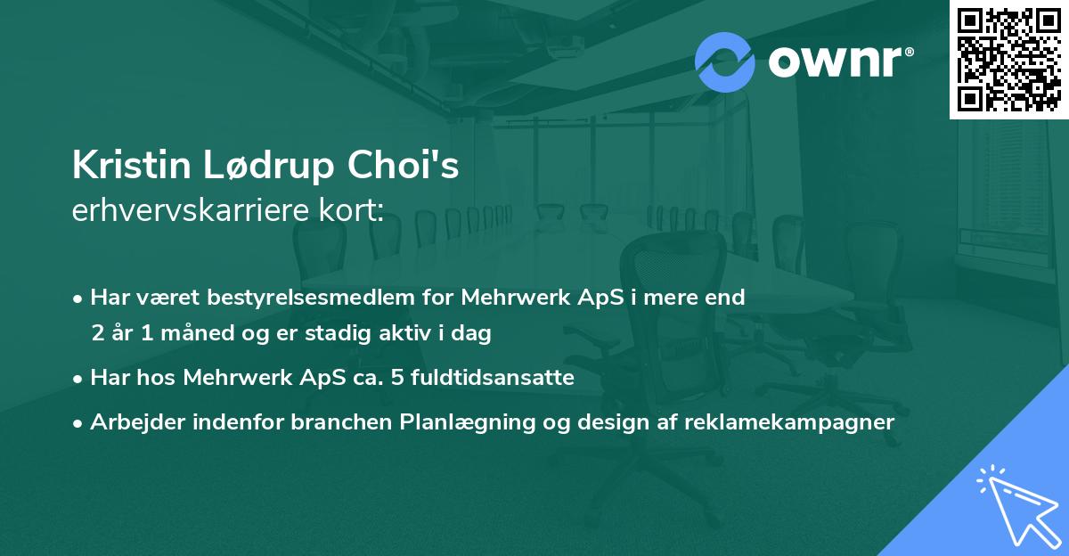 Kristin Lødrup Choi's erhvervskarriere kort