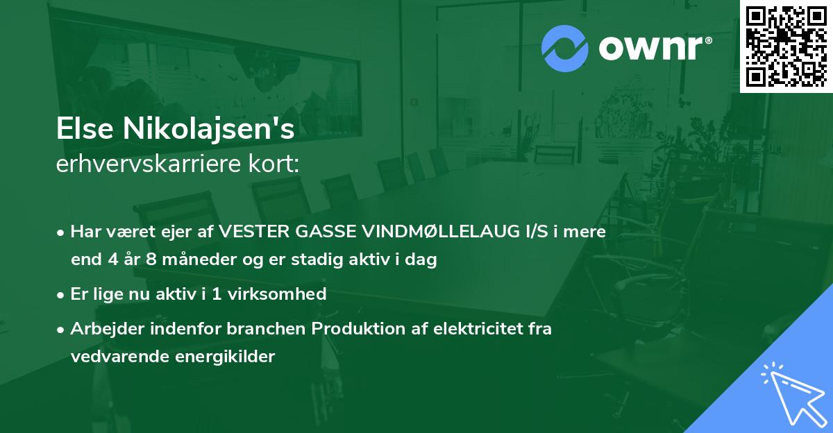 Else Nikolajsen's erhvervskarriere kort